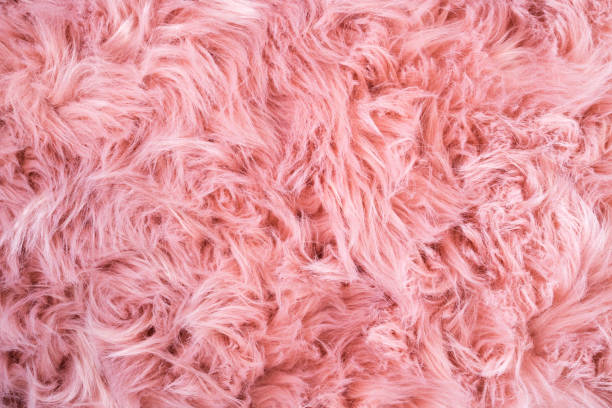 istock Pink sheepskin background. Fur pattern. Wool texture. Sheep fur 1065485598