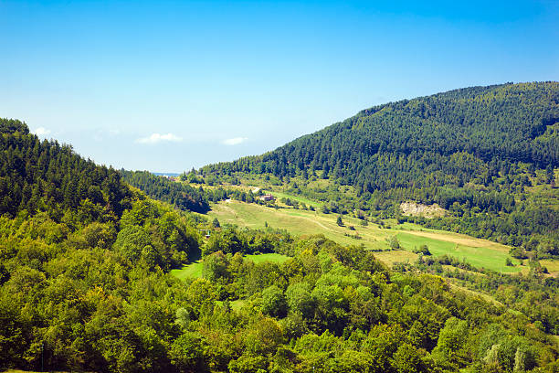 istock Green hills from northern Italy 106549297
