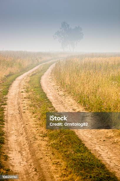 Paisagem Com Nevoeiro - Fotografias de stock e mais imagens de Aldeia - Aldeia, Amanhecer, Ambiente dramático