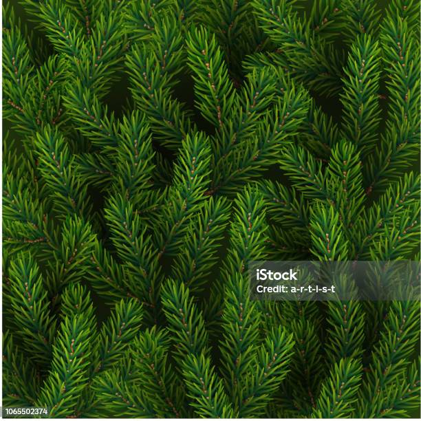 Background With Fir Tree Stock Illustration - Download Image Now - Pine Tree, Pine Wood - Material, Needle - Plant Part