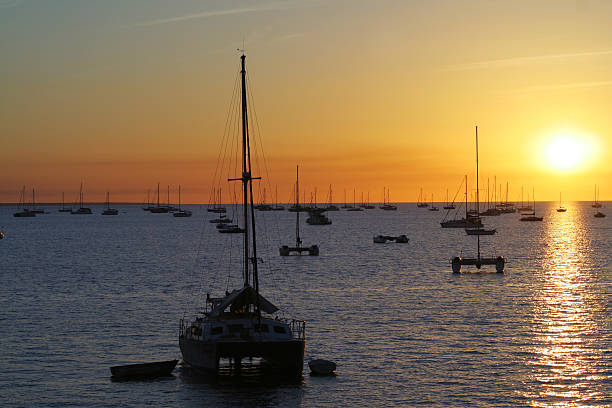 Yachts at sunset  downunder stock pictures, royalty-free photos & images