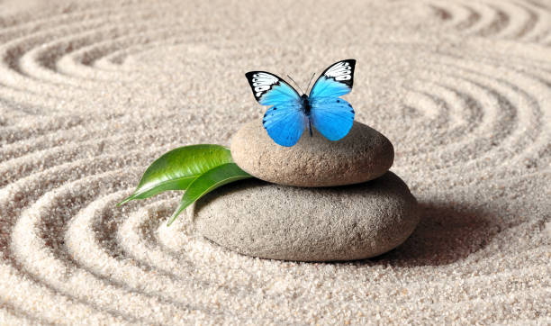 istock A blue vivid butterfly on a zen stone with circle patterns in the grain sand. 1065509418