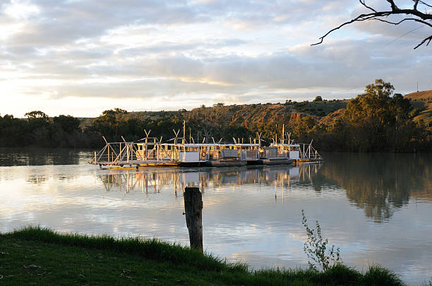 istock Ferry Crossing The River Murray At Sunset, South Australia. 106551130