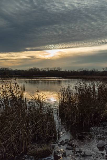 istock Gorgeous sunset reflecting over a lake in a marshland 1065511824