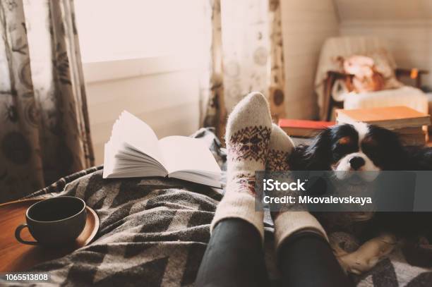 Cozy Winter Day At Home With Cup Of Hot Tea Book And Sleeping Dog Spending Weekend In Bed Seasonal Holidays And Hygge Concept Stock Photo - Download Image Now
