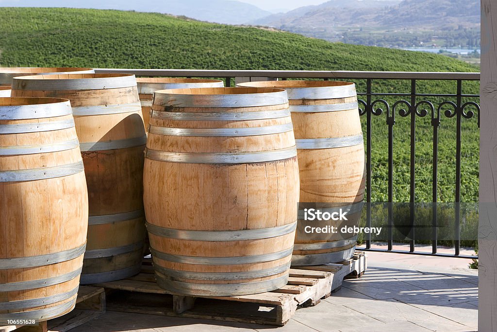 wooden wine barrels with view of winery in background  Barrel Stock Photo