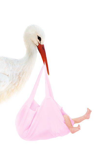 Pregnant woman holding baby clothes. Happy pregnant woman. Pregnancy, motherhood, people and expectation concept