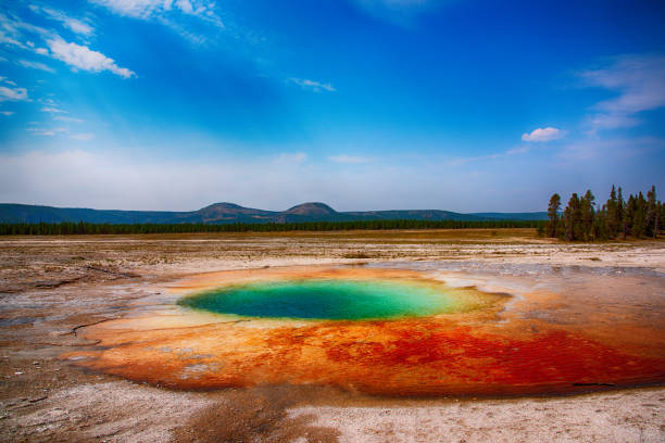 Flowing pattern and geyser, Yellowstone National Park, USA.
