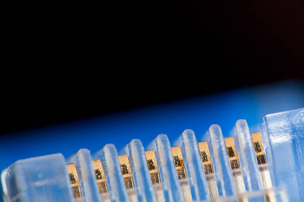 wtyczka kabla sieciowego - cable rj45 network connection plug computer zdjęcia i obrazy z banku zdjęć