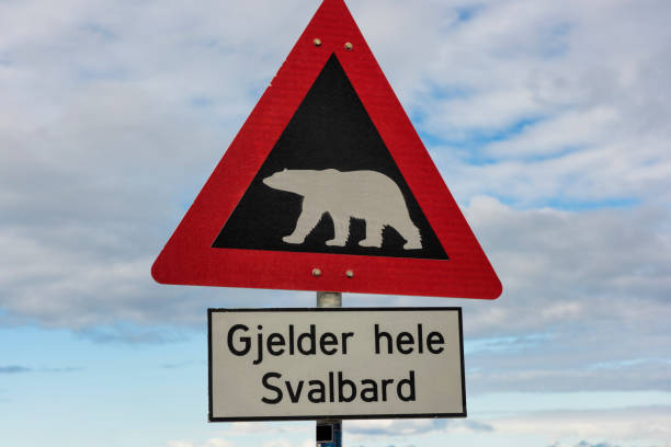 istock Polar Bear Warning Sign in Longyearbyen ,Spitsbergen, Arctica 1065525400