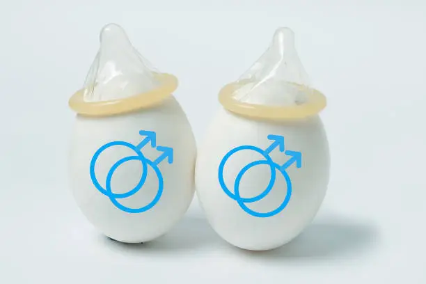chicken eggs with condoms and signs of male homosexuality