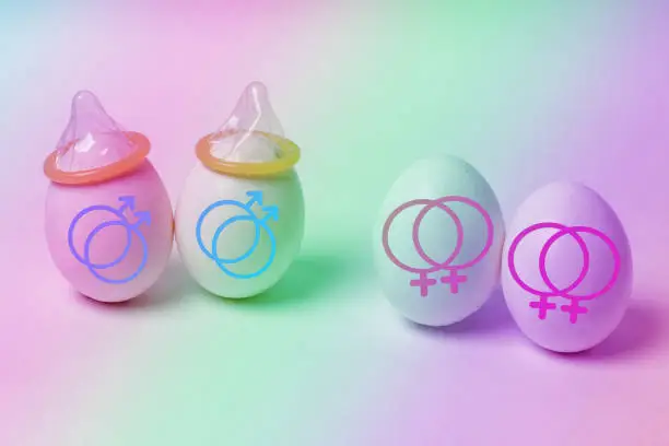 chicken eggs with signs of male and female homosexuality, two eggs with condoms