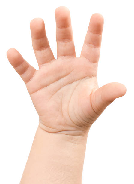 Children's hand. stock photo