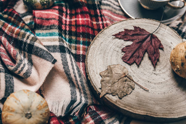 istock Warm plaid and autumn leaves .Autumn warm background. 1065532590