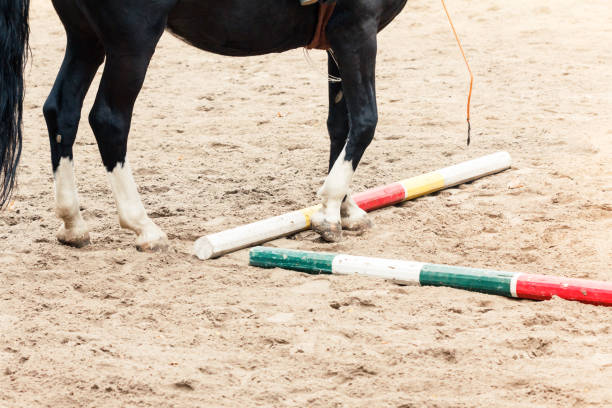 Learning Horseback Riding. Instructor teaches teen Equestrian sport.