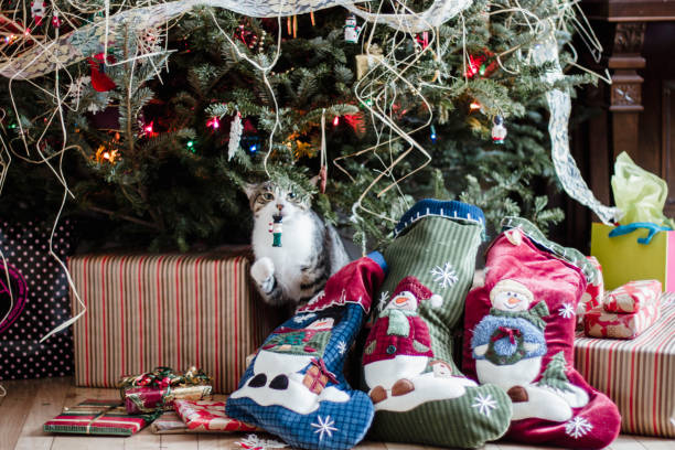 Christmas present with christmas decoration