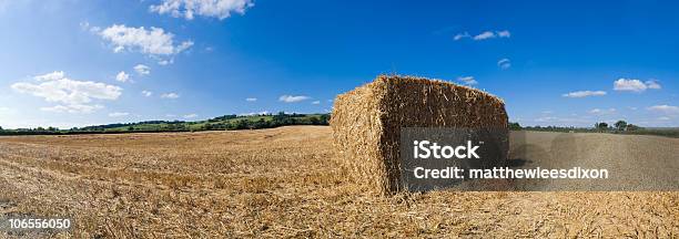 Il Raccolto - Fotografie stock e altre immagini di Agricoltura - Agricoltura, Agricoltura biologica, Albero