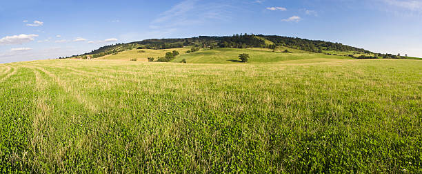 ampia apertura pascoli - clover field blue crop foto e immagini stock