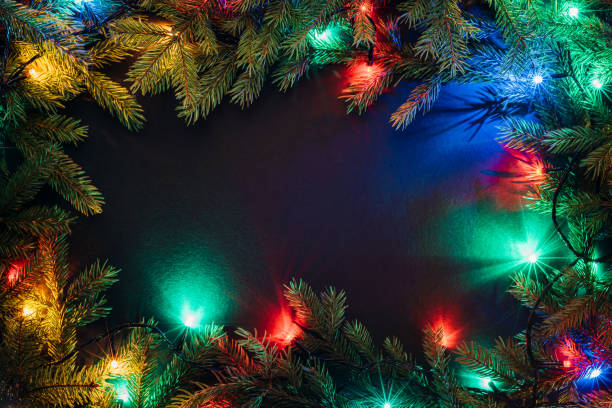 istock Christmas lights and fir branches on black background 1065560786