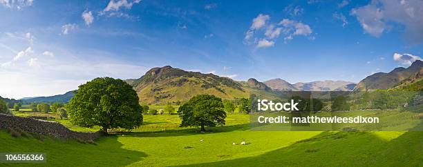 Lake District Stockfoto und mehr Bilder von Agrarbetrieb - Agrarbetrieb, Anhöhe, Berg