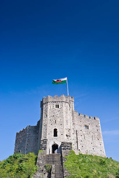 cardiff castle - corbel stock-fotos und bilder