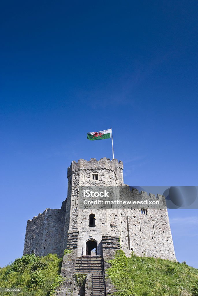 Cardiff Castle - Foto de stock de Castelo de Cardiff royalty-free