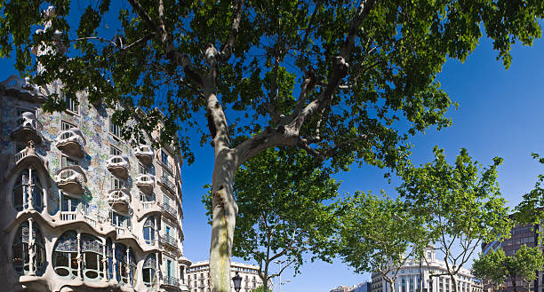 дом бальо - arch casa battlo antonio gaudi spain стоковые фото и изображения