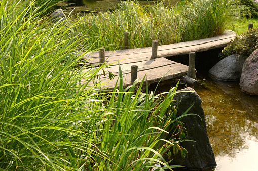 Pond  in Japanese garden