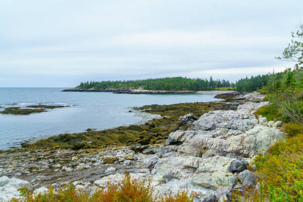 istock Rocky beach in Dipper Harbour, New Brunswick 1065572124