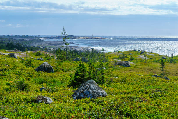 istock Rocky shore with Peggys Cove in the background 1065573524
