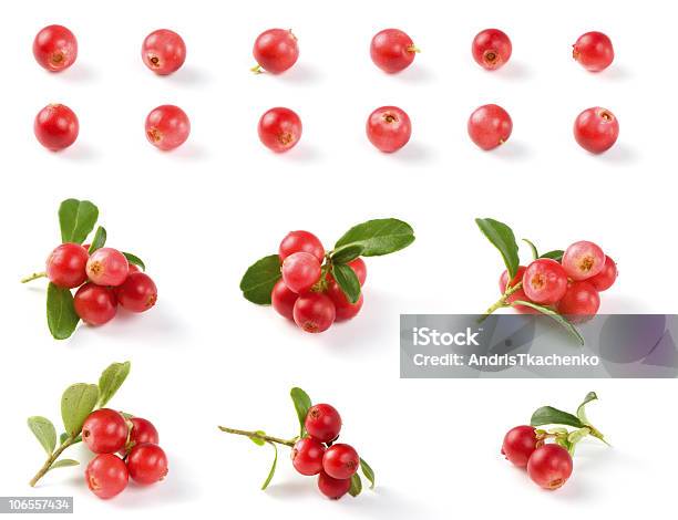 Различные Cranberries — стоковые фотографии и другие картинки Клюква - Клюква, Белый фон, Изолированный предмет