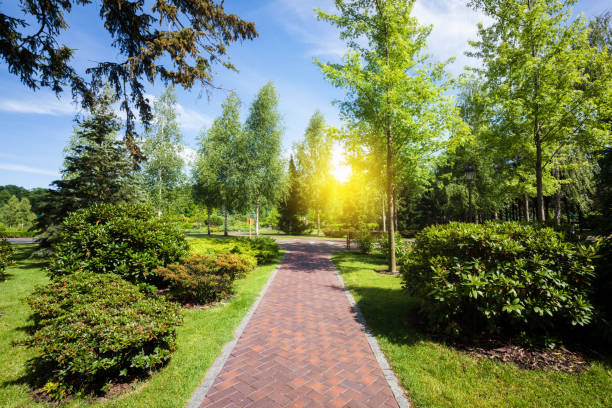 istock Summer green city park at sunny day 1065575138