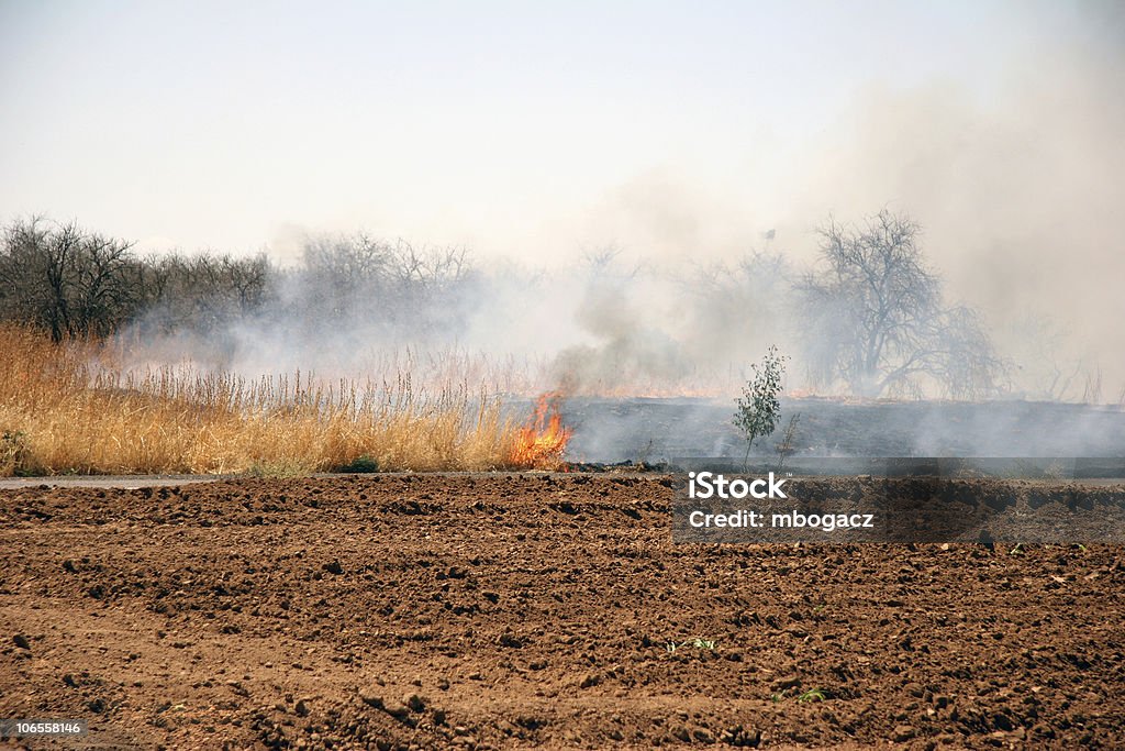 Fuoco di spazzola - Foto stock royalty-free di Incendio boschivo