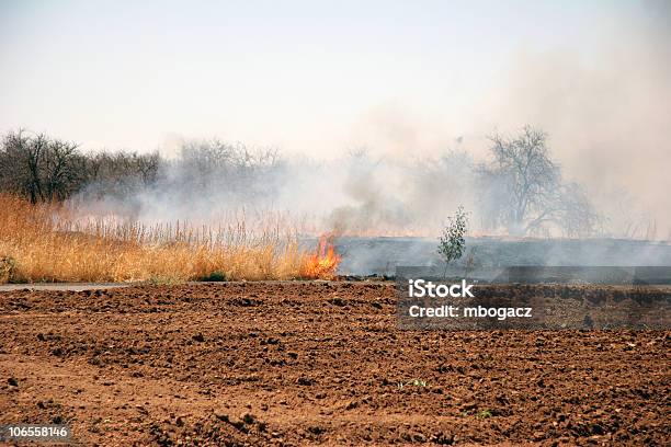 Fuoco Di Spazzola - Fotografie stock e altre immagini di Incendio boschivo - Incendio boschivo, Arizona, Deserto