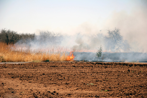 Arizona Desert Brush Fire.