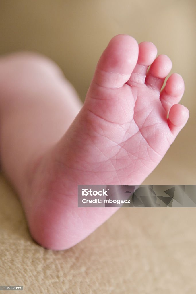 Baby Feet  Baby - Human Age Stock Photo