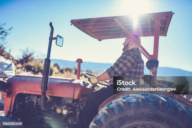 Morning Shift For Tractor Driver Stock Photo - Download Image Now - Tractor, Farmer, Heat - Temperature