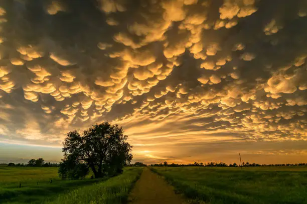 Photo of Mammatus clouds at the back of a severe thunderstorm over northern Nebraska