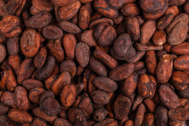 istock Aromatic raw cocoa beans background. Top view. Close up 1065588878