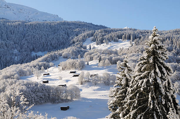 piękne zimowe atrakcje alpy szwajcarskie davos - mountain valley european alps shade zdjęcia i obrazy z banku zdjęć