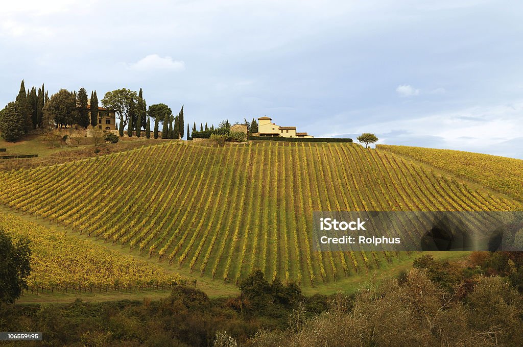 Toskania Chianti winnic jesień razem Blue - Zbiór zdjęć royalty-free (Bez ludzi)