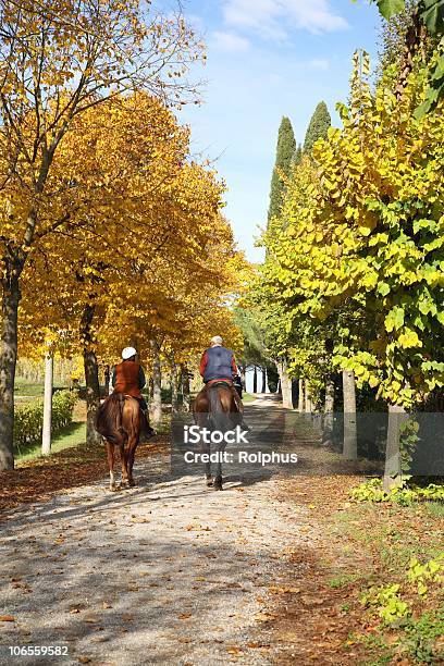 Equitazione Toscana Autunno - Fotografie stock e altre immagini di Toscana - Italia - Toscana - Italia, Andare a cavallo, Autunno