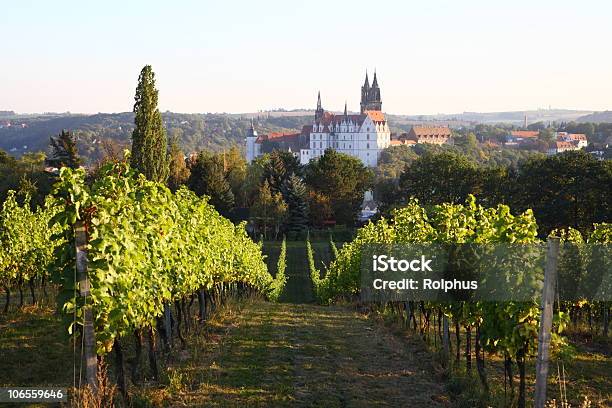 Saxony Meissen Albrechtsburg Vineyard In Fall Stock Photo - Download Image Now - Vineyard, Meissen, Saxony