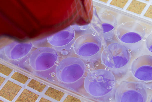 istock Water is poured from the filter into an ice mold 1065602194