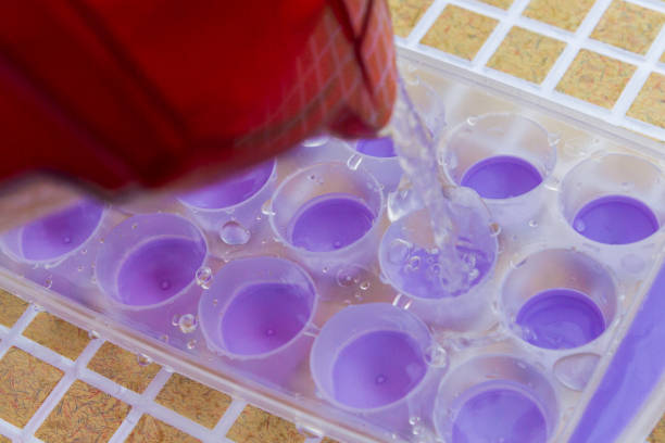 istock Water is poured from the filter into an ice mold 1065602200