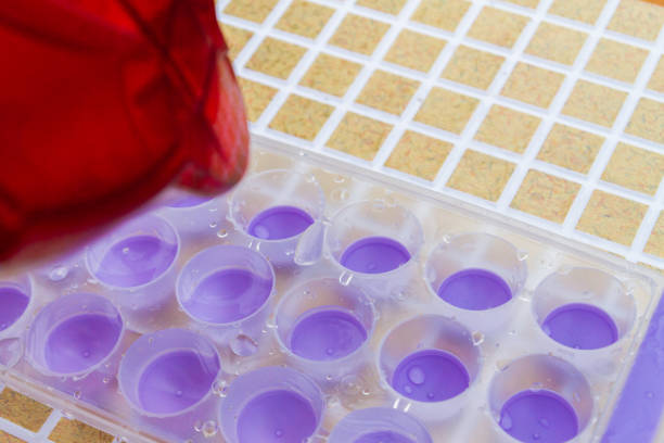 istock Water is poured from the filter into an ice mold 1065602204