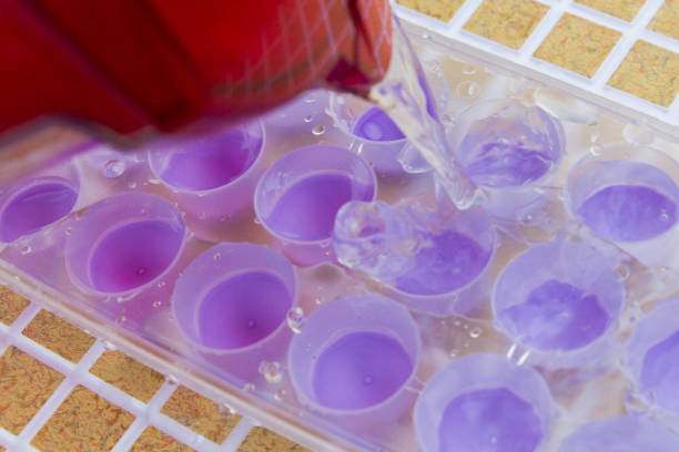 istock Water is poured from the filter into an ice mold 1065602242