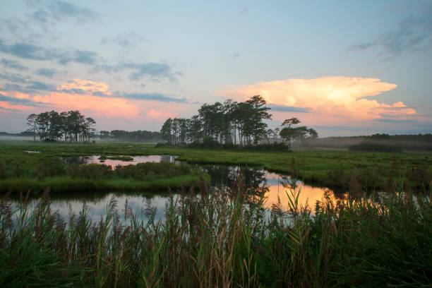 istock Dawn at Chincoteague Island 1065605506