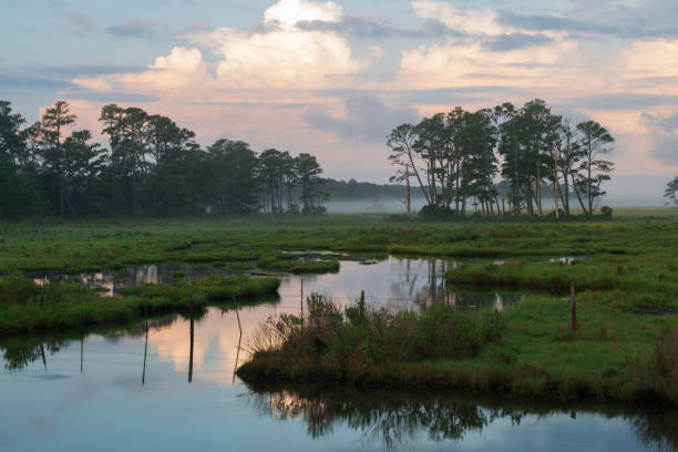 istock Dawn at Chincoteague Island 1065605556