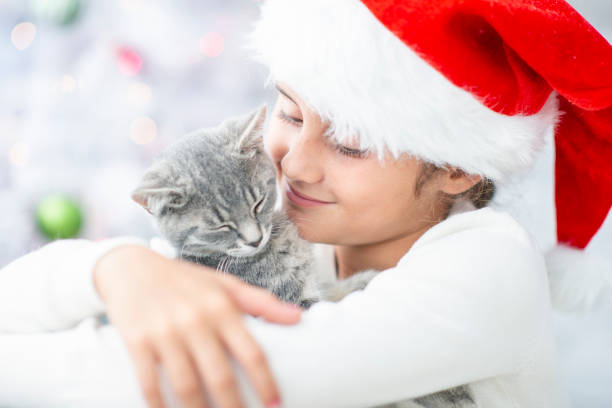 Hugging a cat A cute little girl with brown hair wearing a santa hat, hugs her kitten. They both look loving and sweet. kitten gift stock pictures, royalty-free photos & images